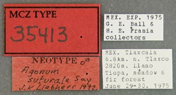 Media type: image;   Entomology 35413 Aspect: labels